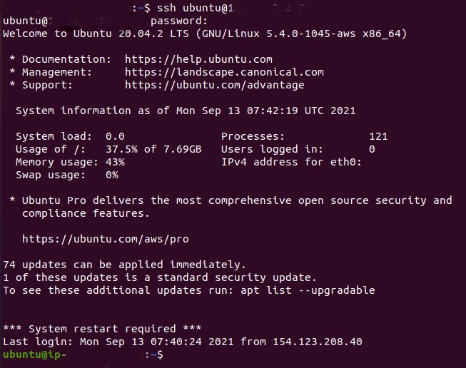 Linux SSH Terminal