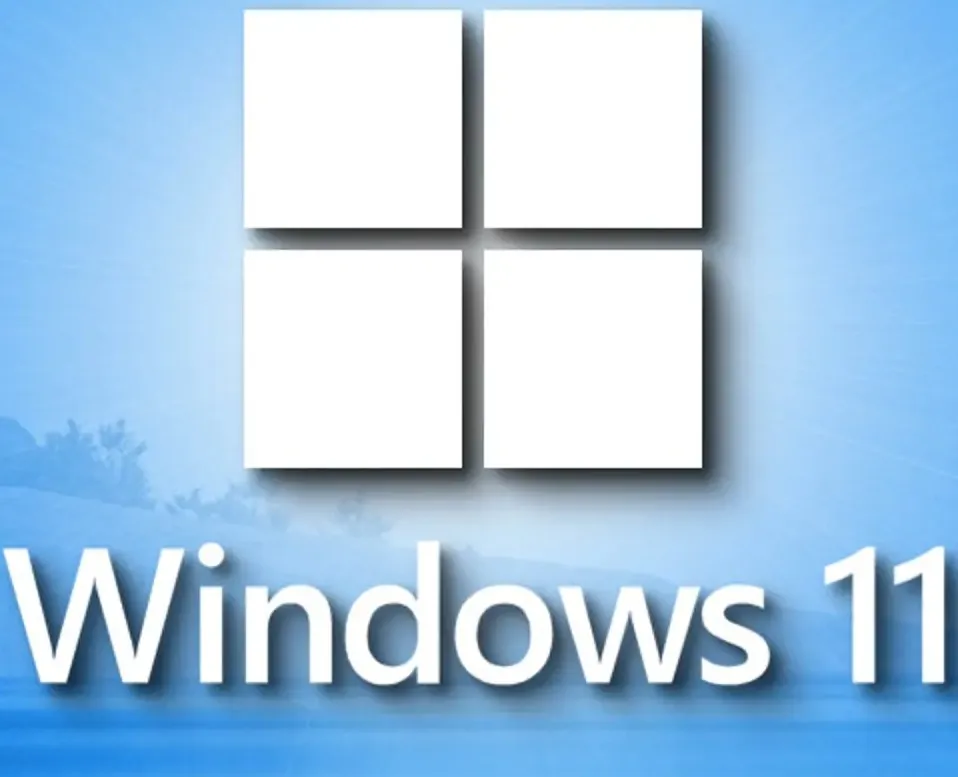 Windows 11 Pro